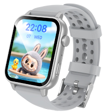 SMARTWATCH BOROFONE BD15 SILVER